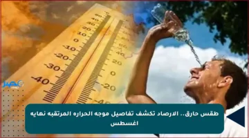 طقس حارق.. الأرصاد تكشف تفاصيل موجة الحرارة المرتقبة نهاية أغسطس